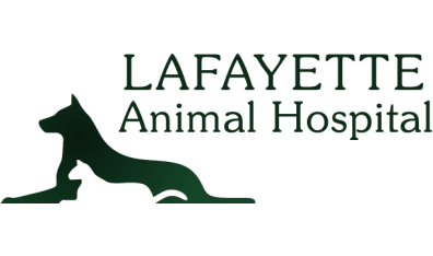 Lafayette Animal Hospital-HeaderLogo